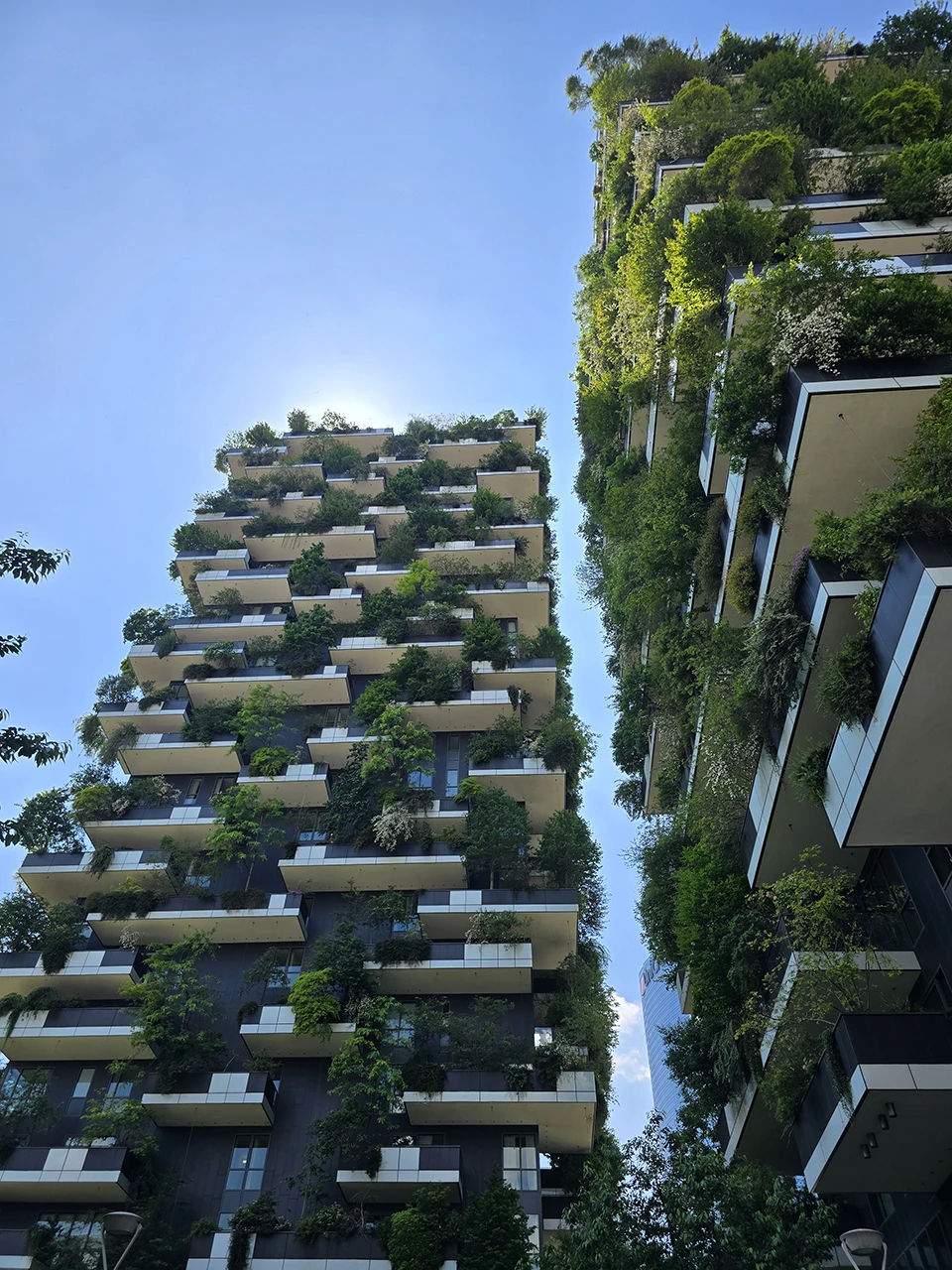 Vertical Forest in Milan / An example of sustainable architecture you ...