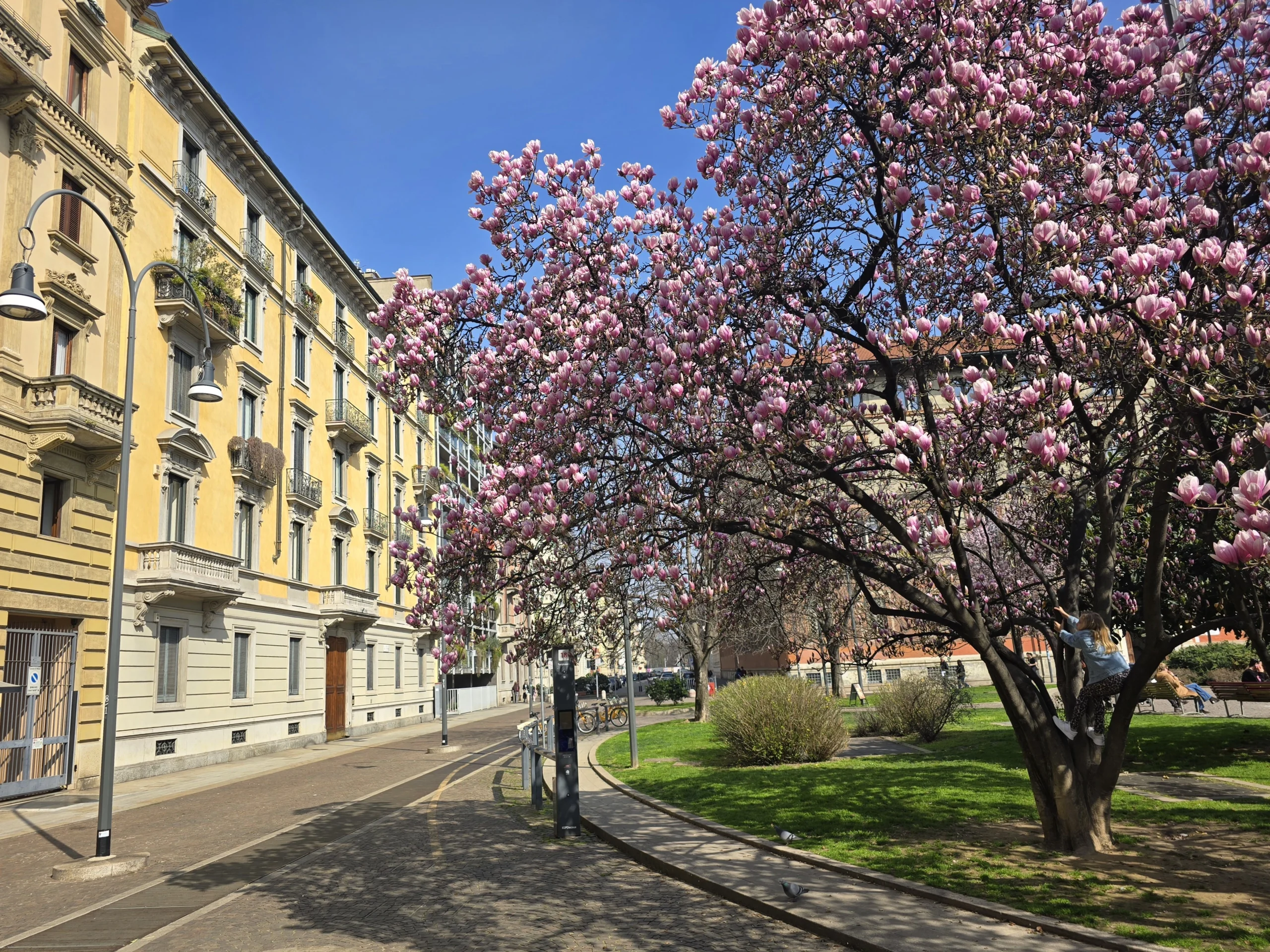 Spring in Milan: What to See and Enjoy This Time of Year - The Milanese Bee