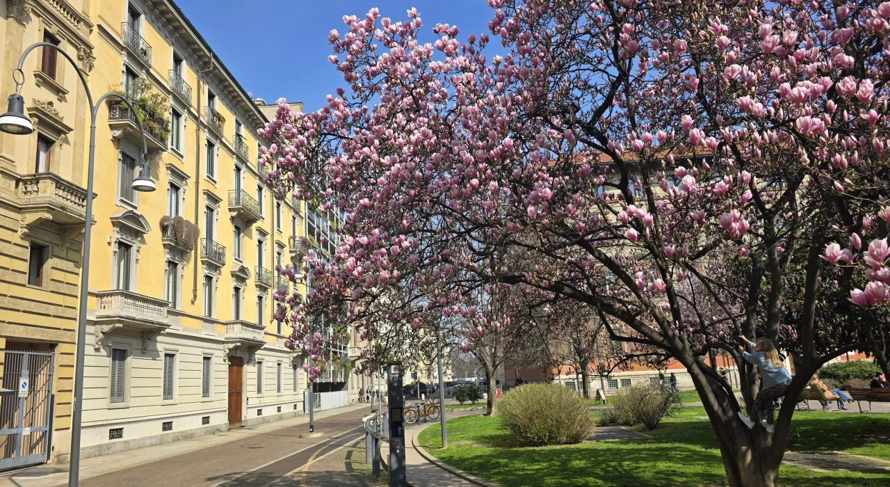 Spring in Milan